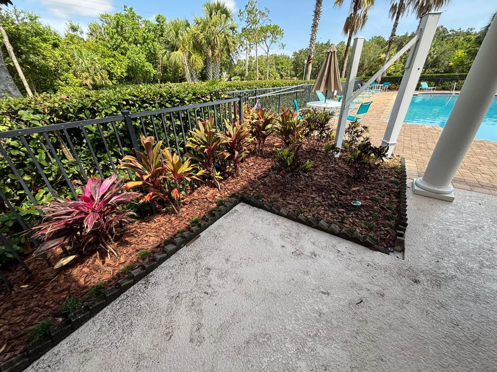 All Photos for Cunningham's Lawn & Landscaping LLC in Daytona Beach, Florida