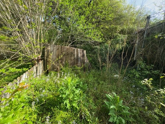 Tree Cleanup  for D&D Services of Pensacola in Pensacola, FL