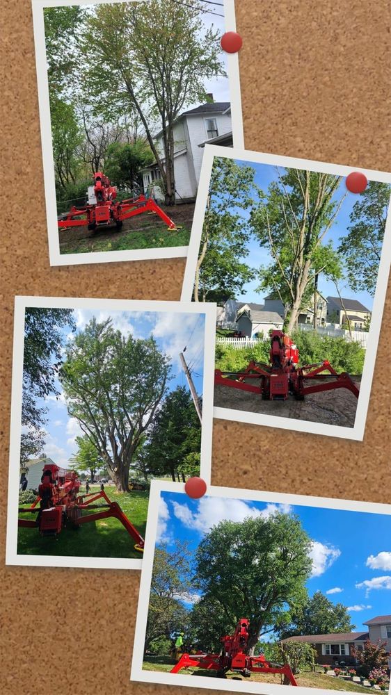 All Photos for F & F Tree Service in Beavercreek, OH