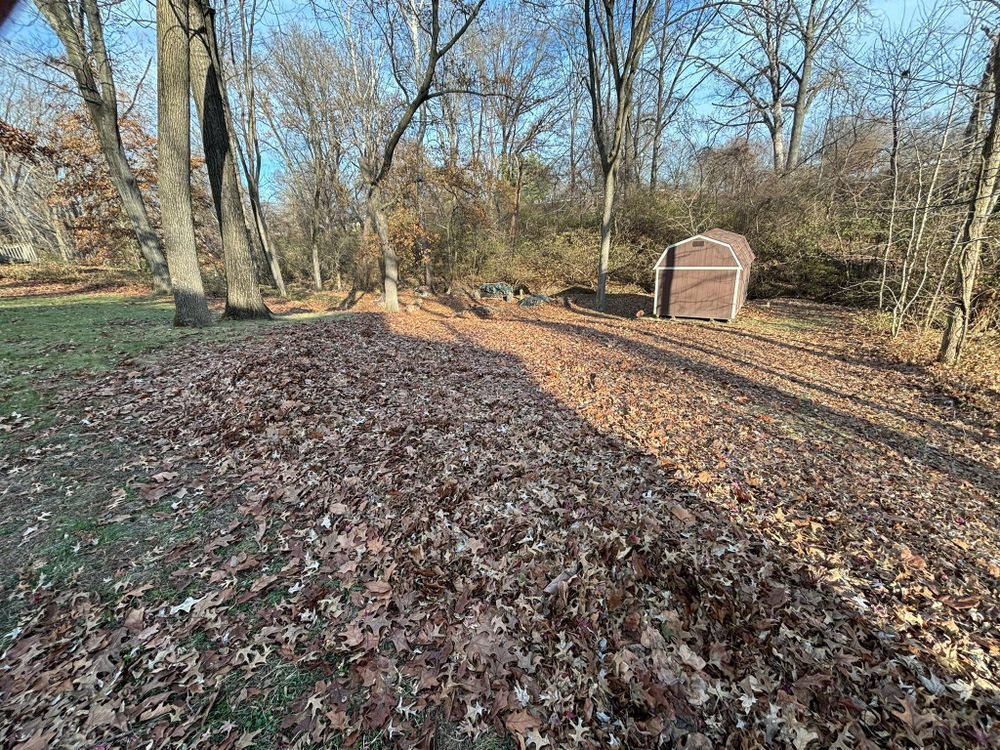 All Photos for Andrew's Lawn Service LLC in Lebanon, IL