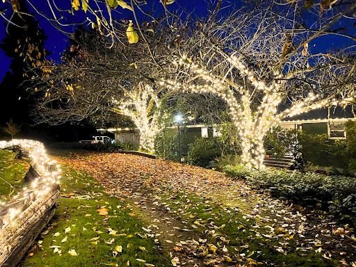 Residential Christmas Light Installation for Indiana Christmas Light Installers in Eaton, IN