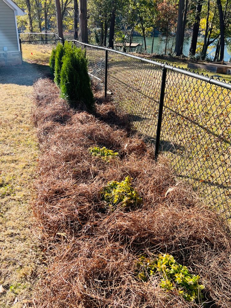 All Photos for LC Lawn Care & Landscaping in Canon, GA