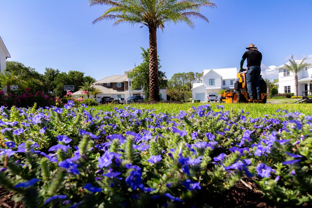 Maintenance  for Pro Designs Landscaping LLC in Jacksonville, FL