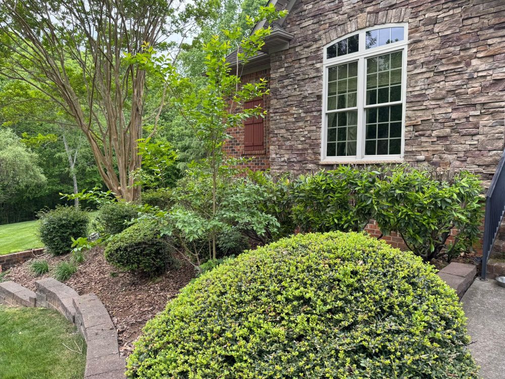 All Photos for Piedmont Lawn and Landscaping in Lexington, NC