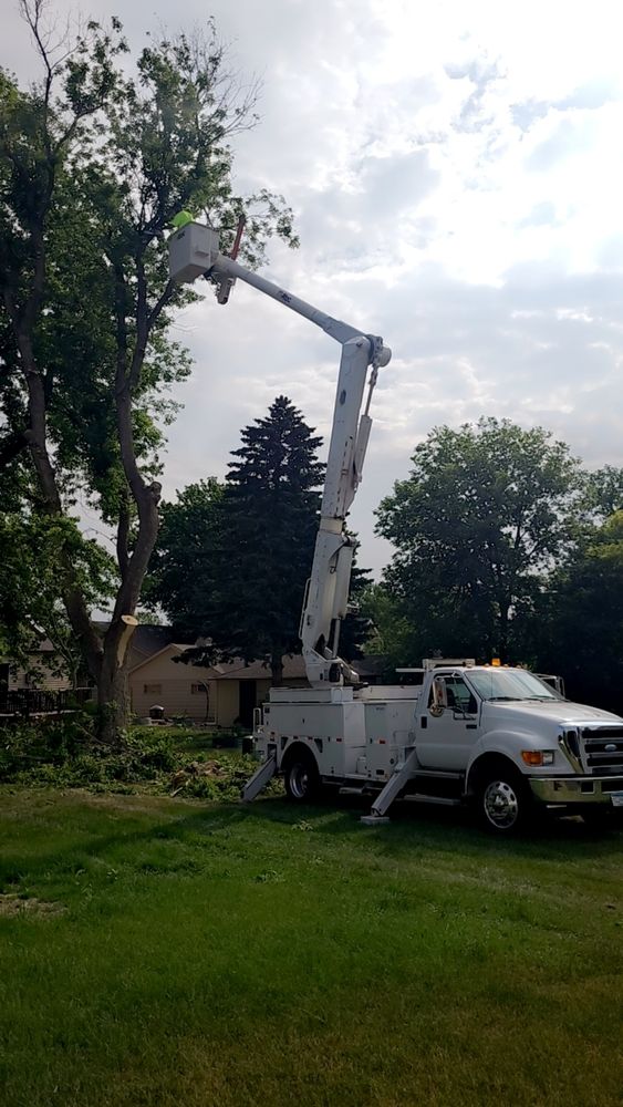 All Photos for Tree Tech in Luverne, MN