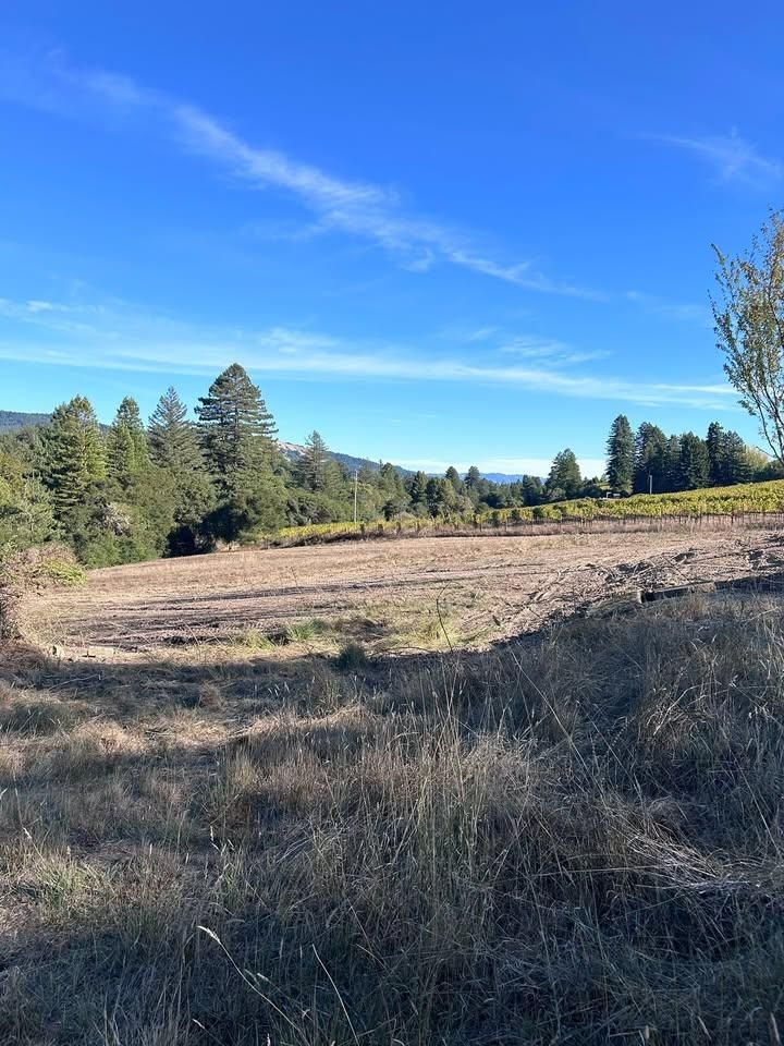 All Photos for J. Orozco & Sons Ent in Philo, CA