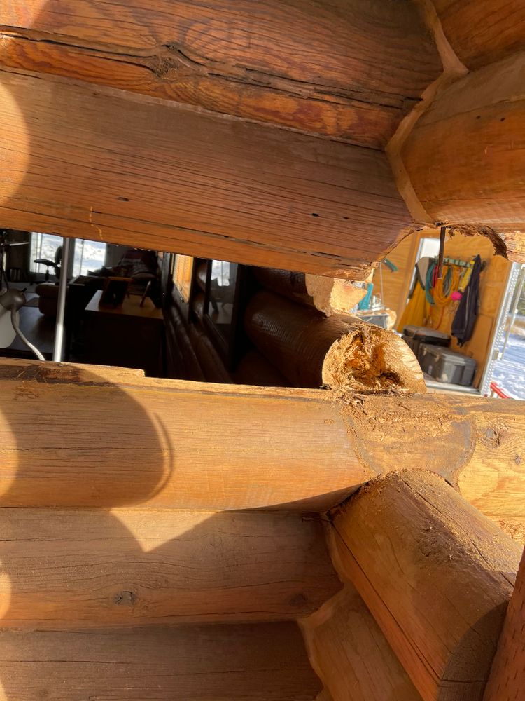 All Photos for Wild West Log home specialists in Corvallis, MT