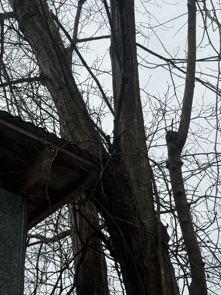 All Photos for Chiles Lawn & Landscaping in Gordonsville, VA