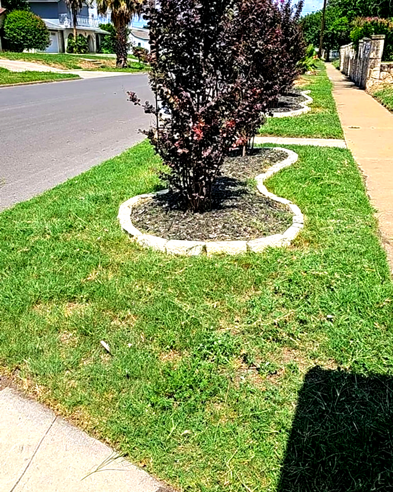 Lawn Care for Miller Mowing and Maintenance in San Antonio, TX