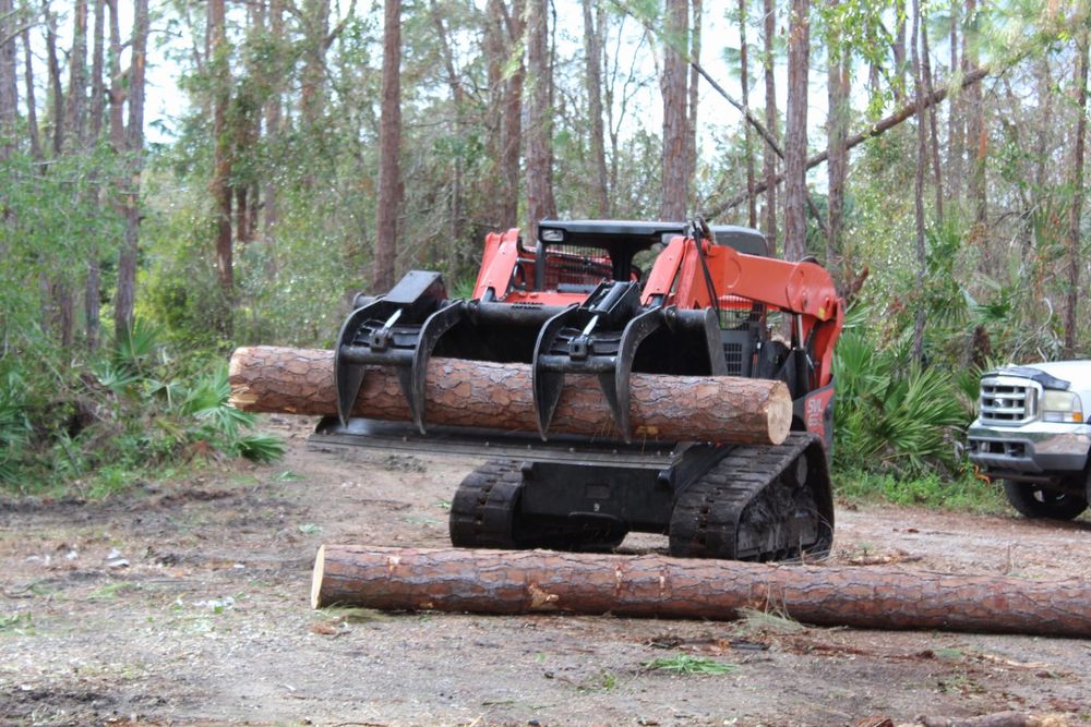 Tree Removal for American Tree Masters in Alvin, TX