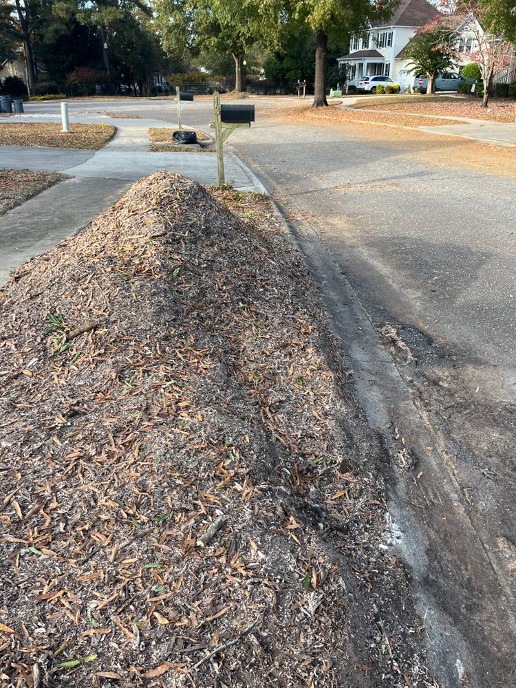 Stump Grinding for Otis Lee Stump Grinding LLC in Elgin, SC