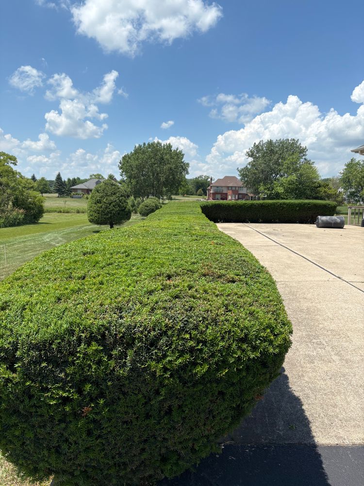 All Photos for From the Ground Up Landscaping & Lawncare in New Lenox, IL