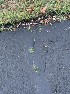 All Photos for James R Carter Paving in Roanoke, VA