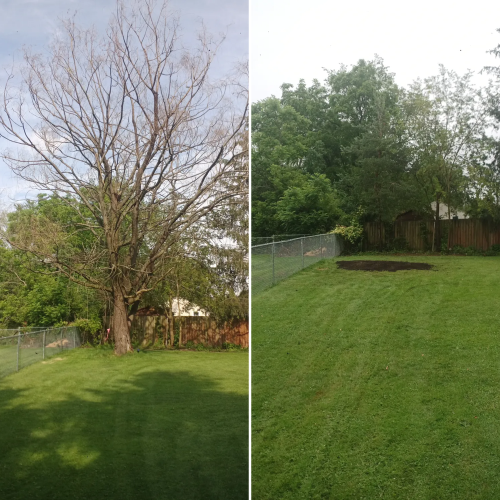  for Hendricks Mowing in Amherst, OH