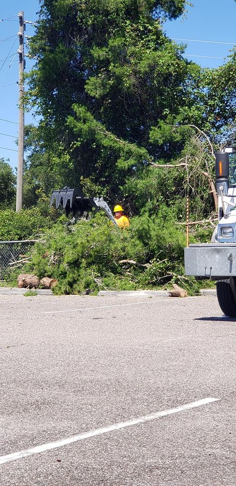 Tree Removal for Daniel Hickey’s Tree Service in DeLand, FL