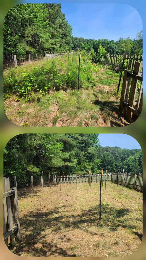 All Photos for Westscape Designs in Lake Gaston, NC