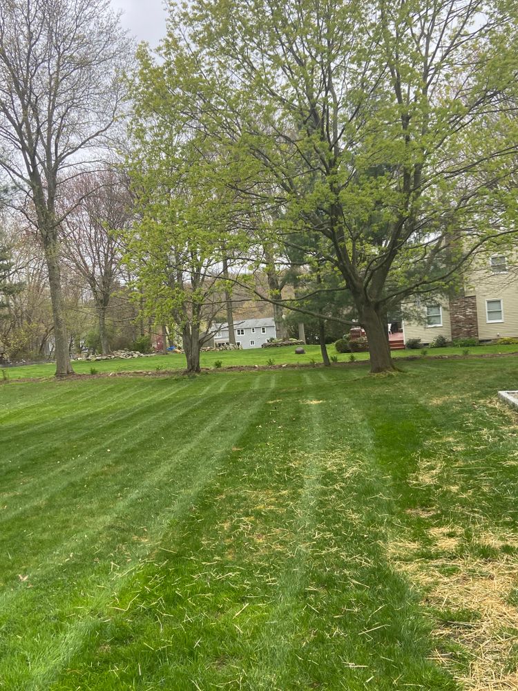 Lawn Maintenance  for Ace Landscaping in Trumbull, CT