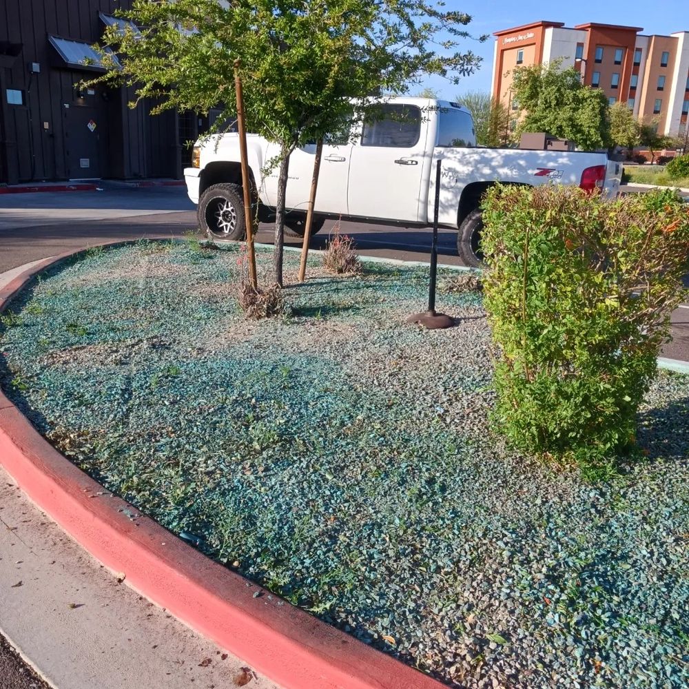 All Photos for CRAJE Landscaping LLC in Mesa, AZ