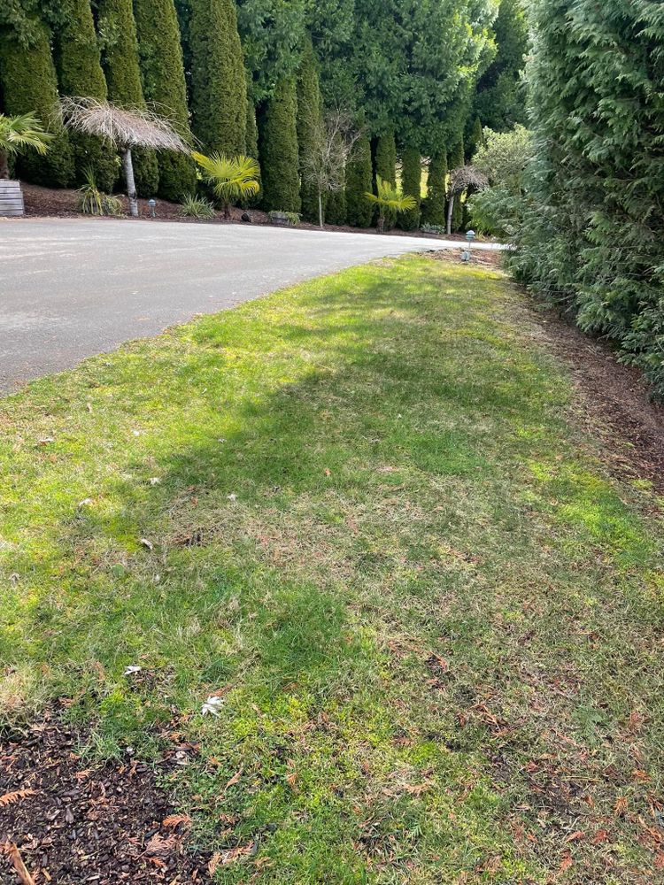 Enhance your lawn's appeal with our professional mowing service, ensuring a meticulously trimmed and healthy yard. Trust our expert team for precision cuts that boost curb appeal and maintain lush landscapes. for Stealth Landscaping in Black Diamond, WA