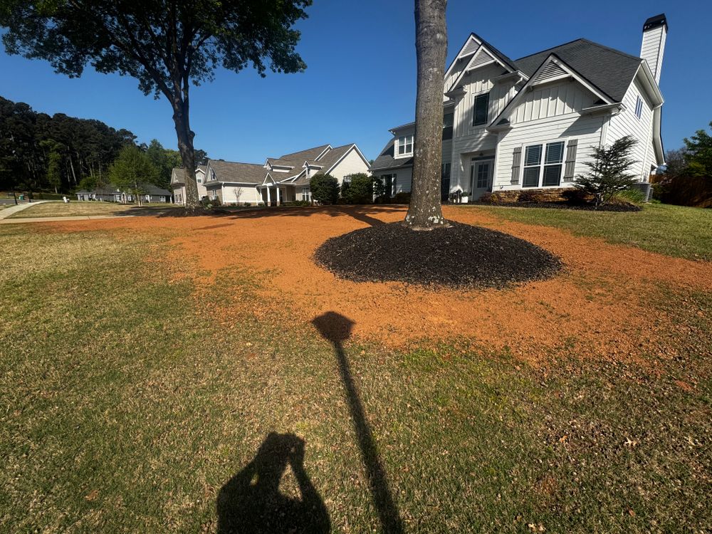 All Photos for Deeply Rooted Lawns – Hydroseeding & Sod Installation Services in Winder, GA