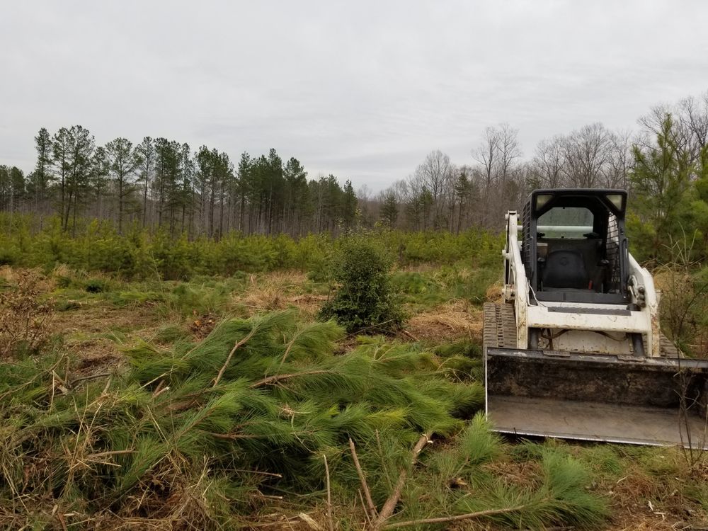 Landscaping for Douthat Solutions in Clearwater, FL