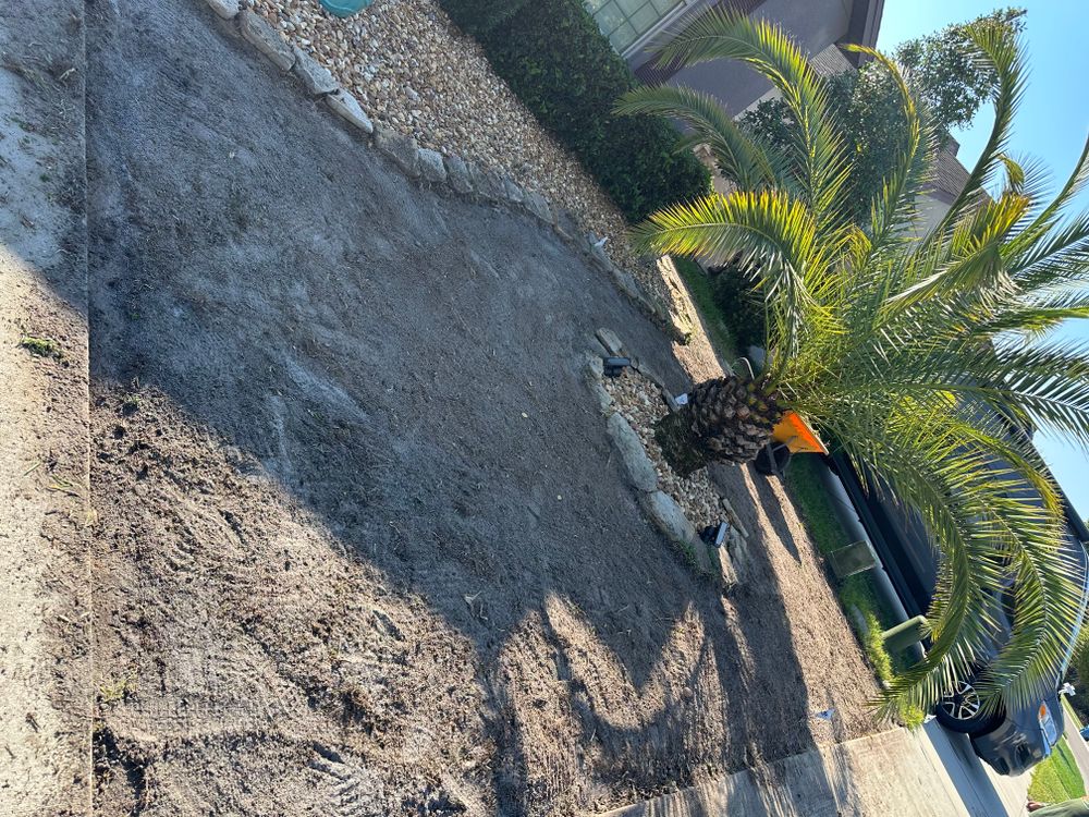 All Photos for Gulf Bay Sod in Clearwater, FL