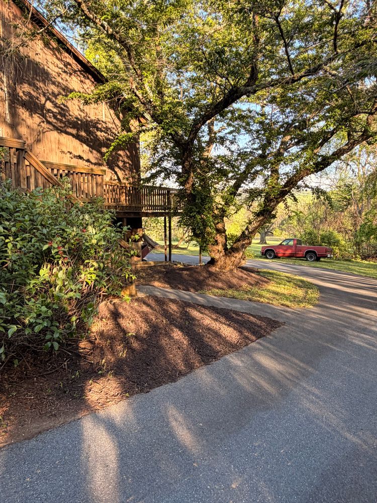 All Photos for Valencia’s Lawncare in Charlottesville, VA