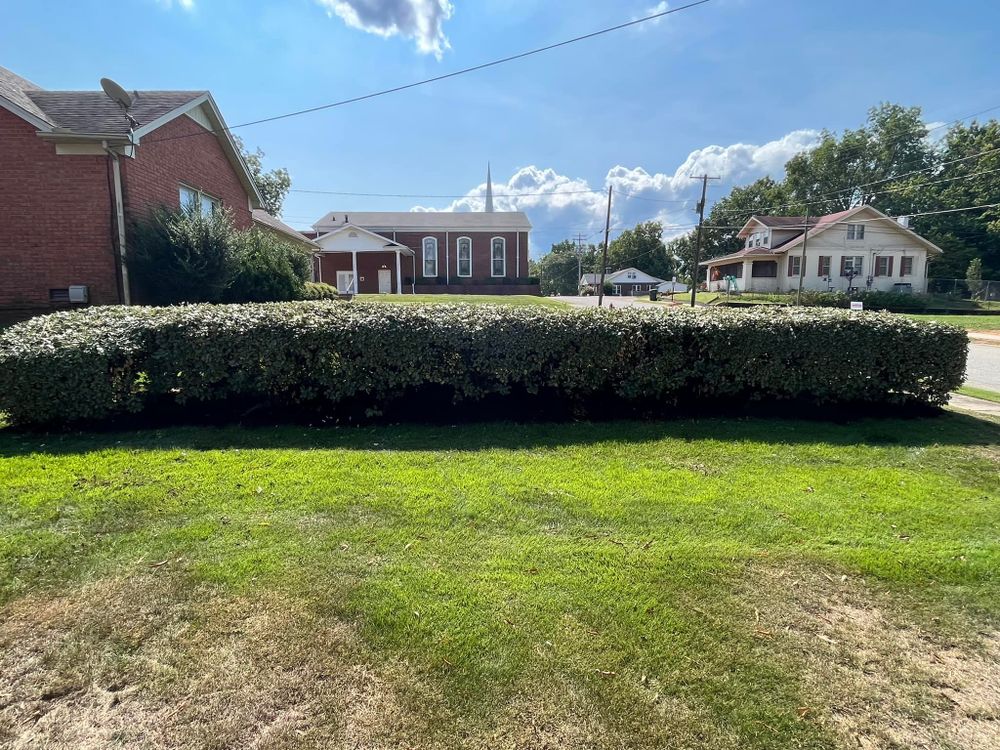 All Photos for Mill Creek Fencing&Landscaping in Lavinia, TN