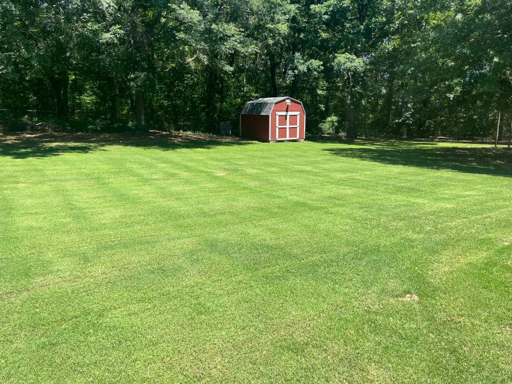 Lawn Maintenance for Adams Landscape Management Group LLC. in Loganville, GA