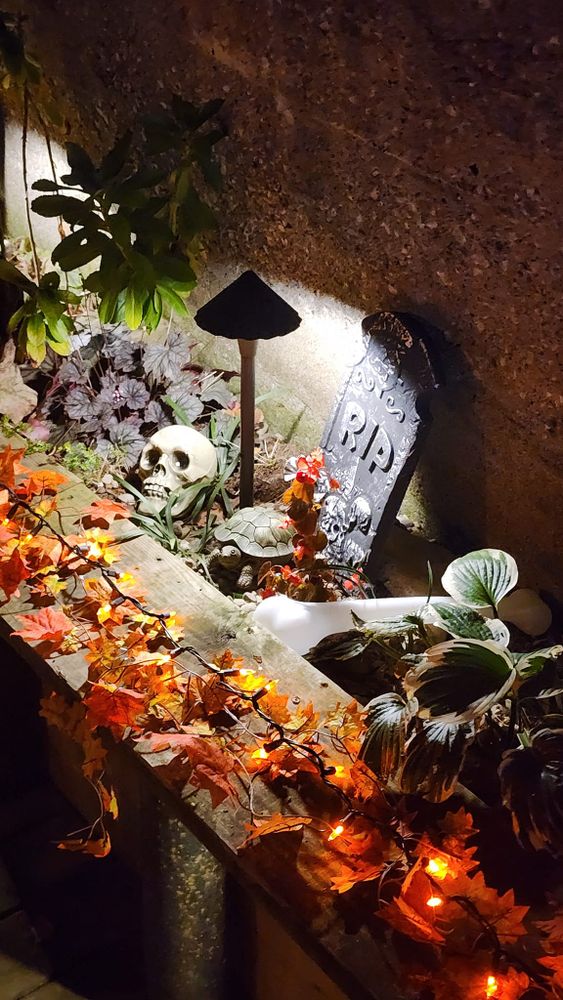 Enhance your home's beauty and security with our professional outdoor lighting services, offering customized designs that illuminate pathways, highlight landscapes, and create stunning nighttime aesthetics. Transform your yard into a welcoming oasis. for Freeland's Water Gardens in Clarksburg, WV