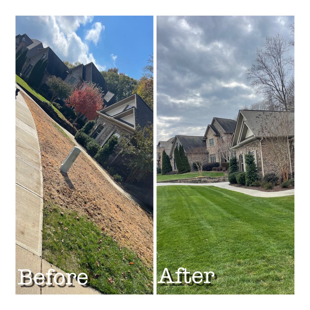 Lawn Transformations for Sunrise Lawn Care & Weed Control LLC in Simpsonville, SC