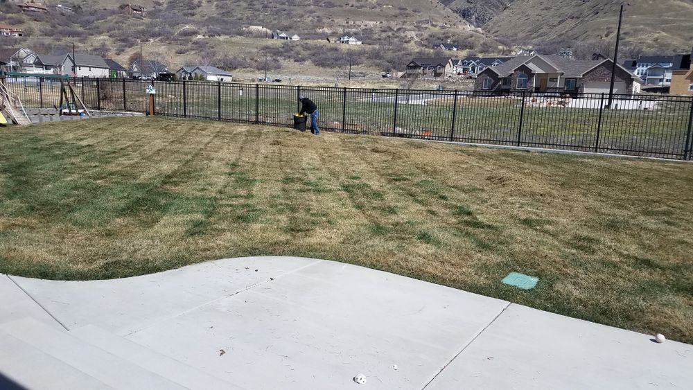 All Photos for Platinum Lawn Service in Santaquin, UT
