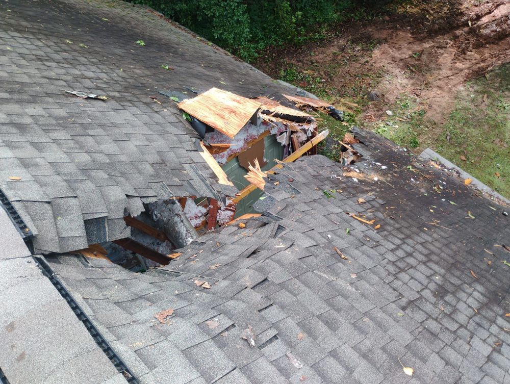 All Photos for Bulldawg Disaster Response in Atlanta, GA