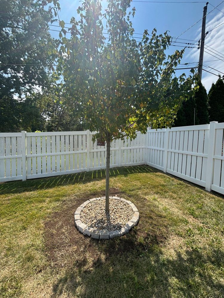 All Photos for J & B Landscaping in St. Louis, MO