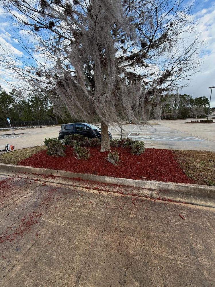 All Photos for Whole 9 Yards Services LLC in Green Cove Springs, FL