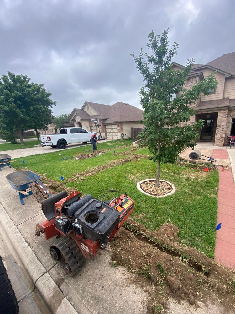 We provide professional Tree Services to keep your trees healthy and looking great. Our experienced arborists offer pruning, trimming, tree removal, and more. for Chavira Landscape & Irrigation in Austin, TX