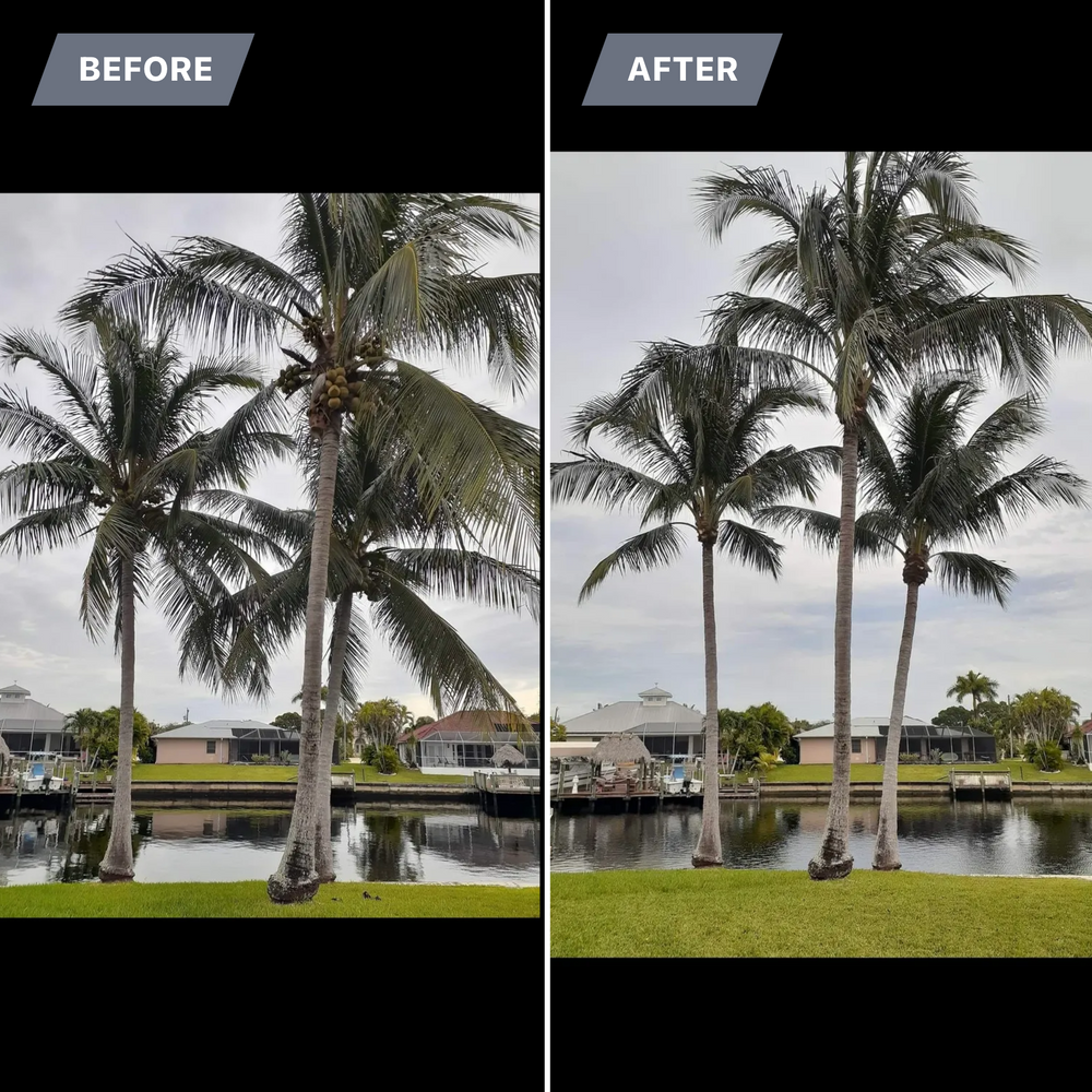 All Photos for Advanced Landscaping Solutions LLC in Fort Myers, FL