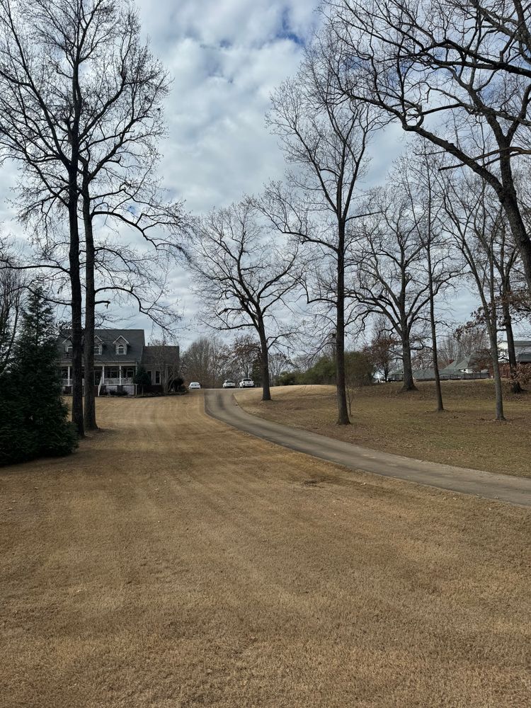 All Photos for Kelso's Lawn Maintenance in Jackson, TN