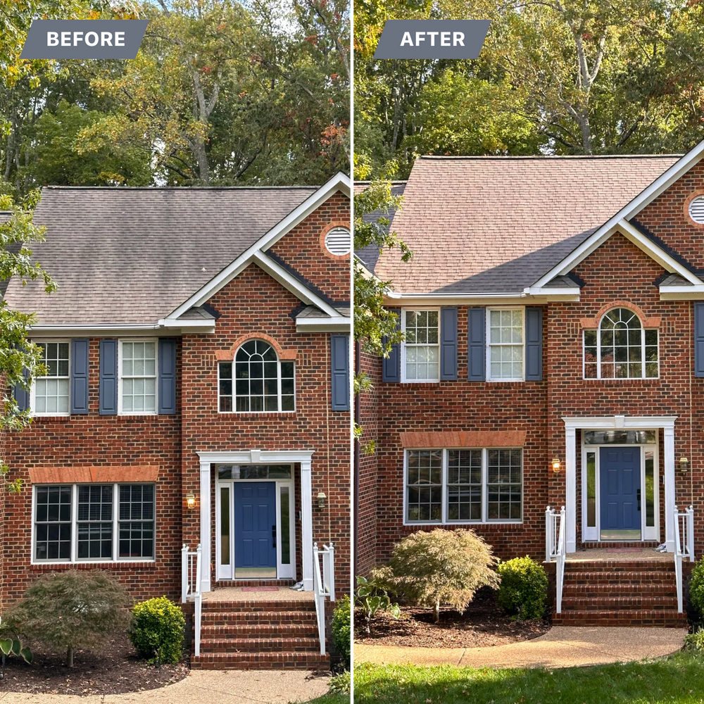 All Photos for LeafTide Solutions in Richmond, VA