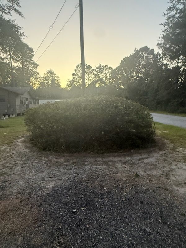 All Photos for Hawkins Tree Service & Land Management in Richmond Hill, GA