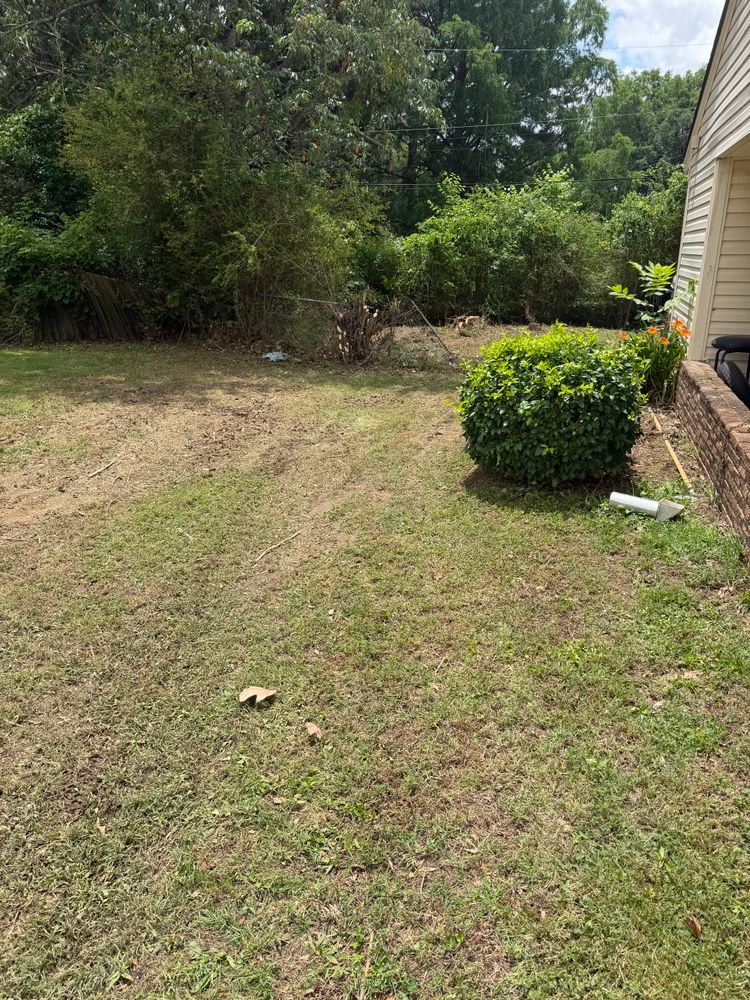 All Photos for Kingdom Landscaping in Memphis, TN