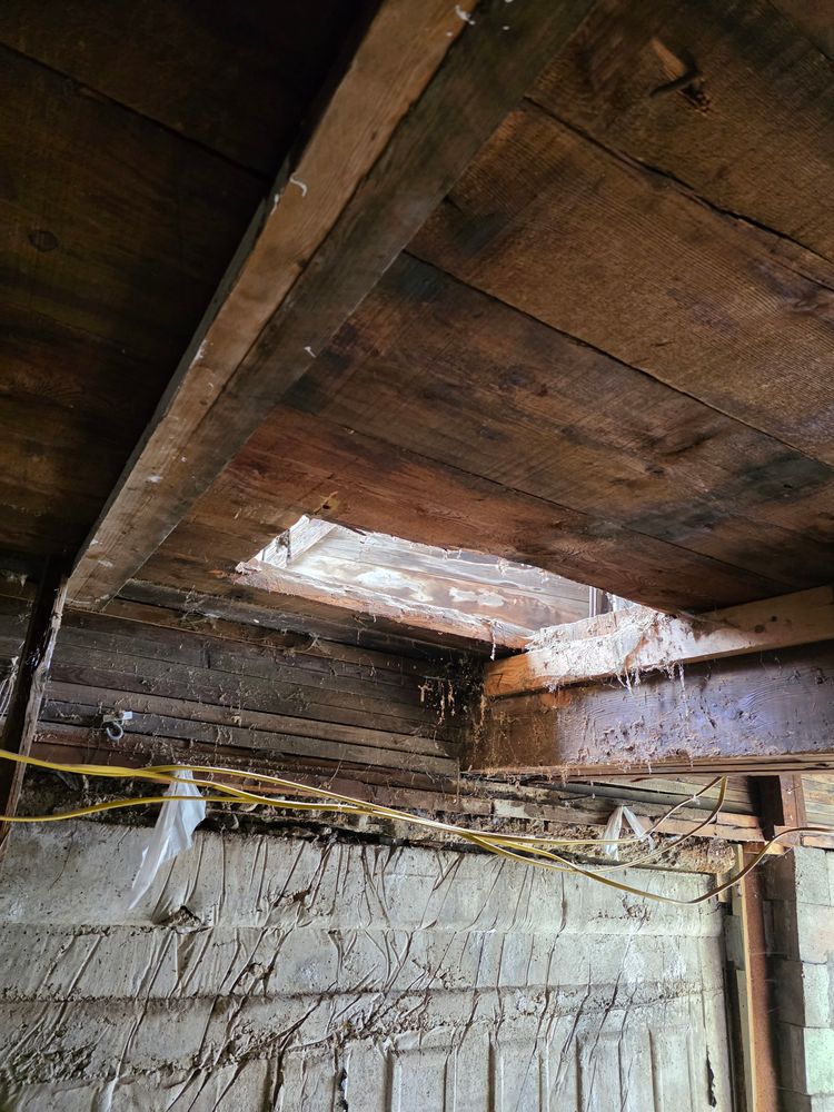 All Photos for Rob's Odd Jobs in Moscow, ID