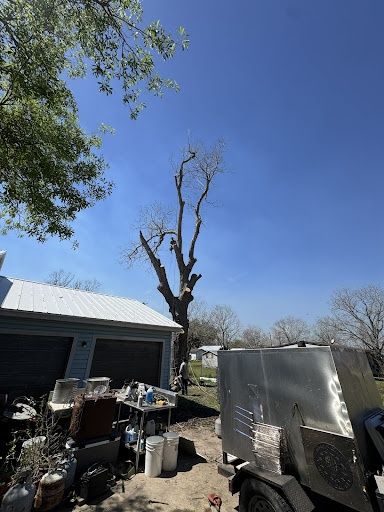 All Photos for Braun Tree Service in Cameron, TX