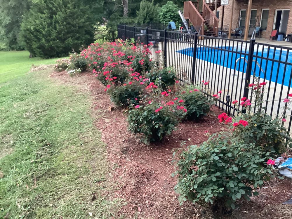 All Photos for Xtreme Landscaping & Lawn Care in Lincoln, AL