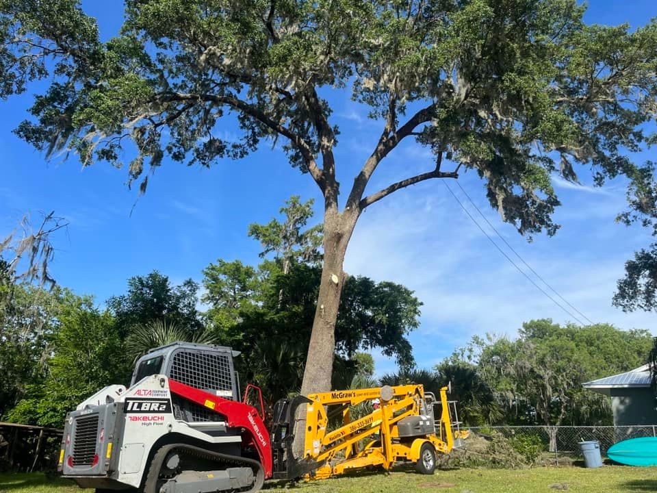 Our Tree Trimming service ensures your trees remain healthy and visually appealing by removing any dead or overgrown branches, enhancing both the safety and aesthetics of your property. for McGraw’s Lawn and Tree Service in DeLand, FL