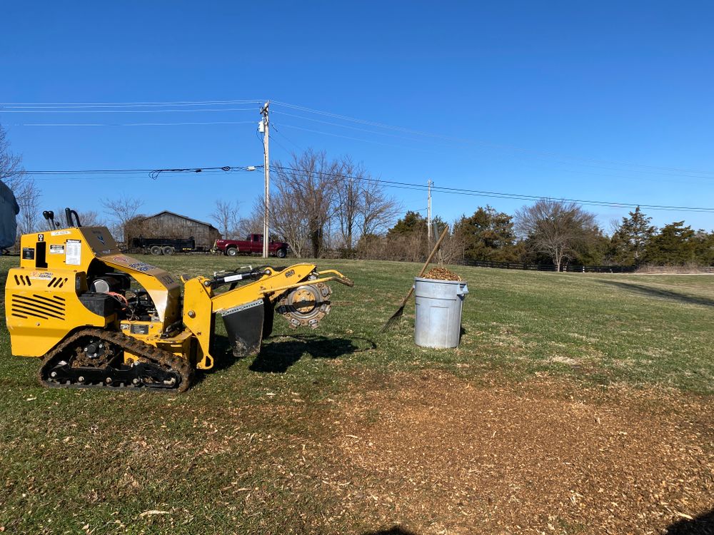 All Photos for Houtz Tree Service in Lexington, KY