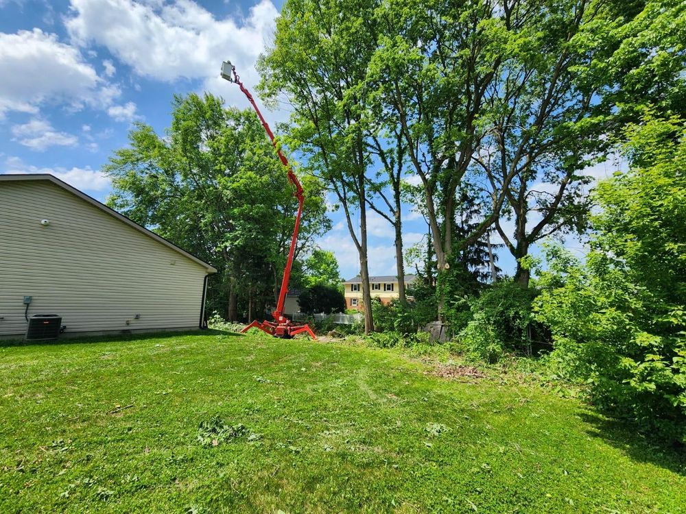 All Photos for F & F Tree Service in Beavercreek, OH