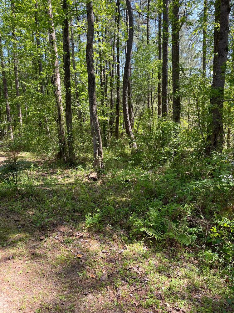 All Photos for G&H Forestry Mulching and Land Services in Fayetteville, GA