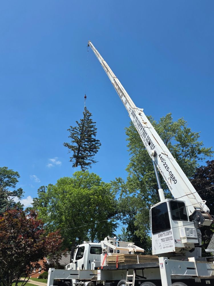 All Photos for Down To Earth Tree Service, LLC in Westlake, OH