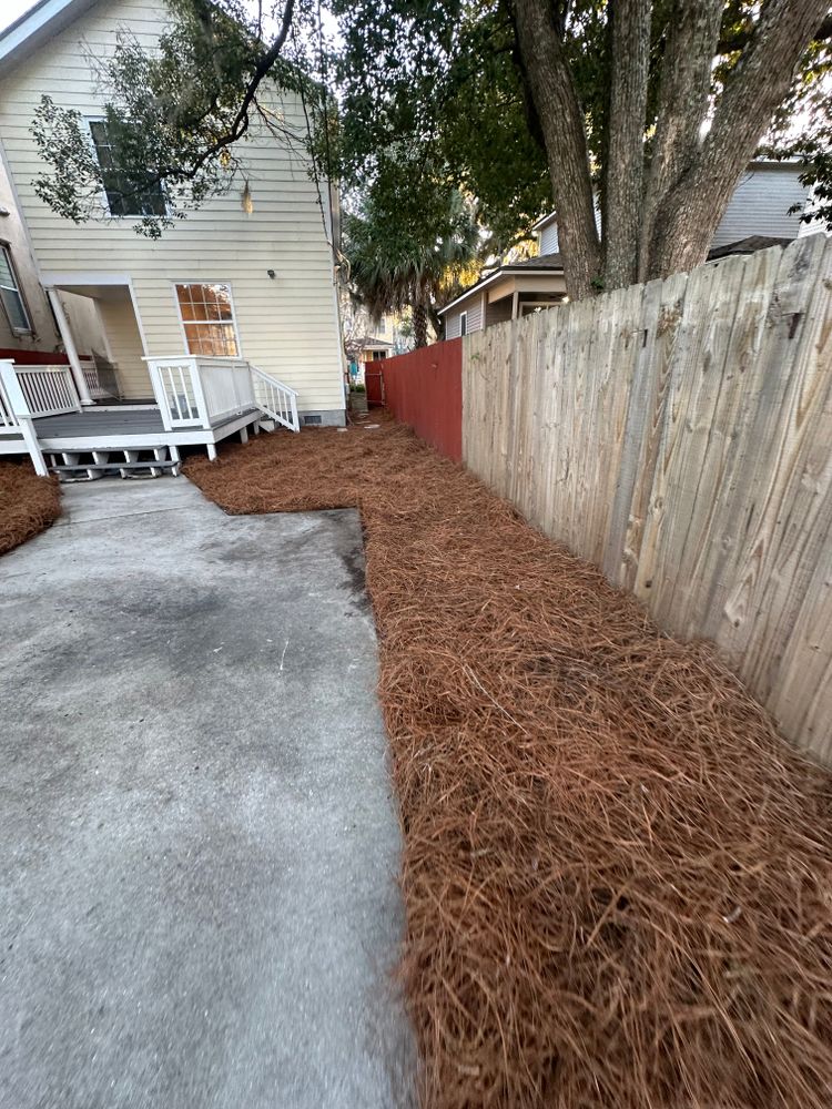 Pine Straw  for Coastalscapes Landscaping & Turf Management  in Savannah, GA